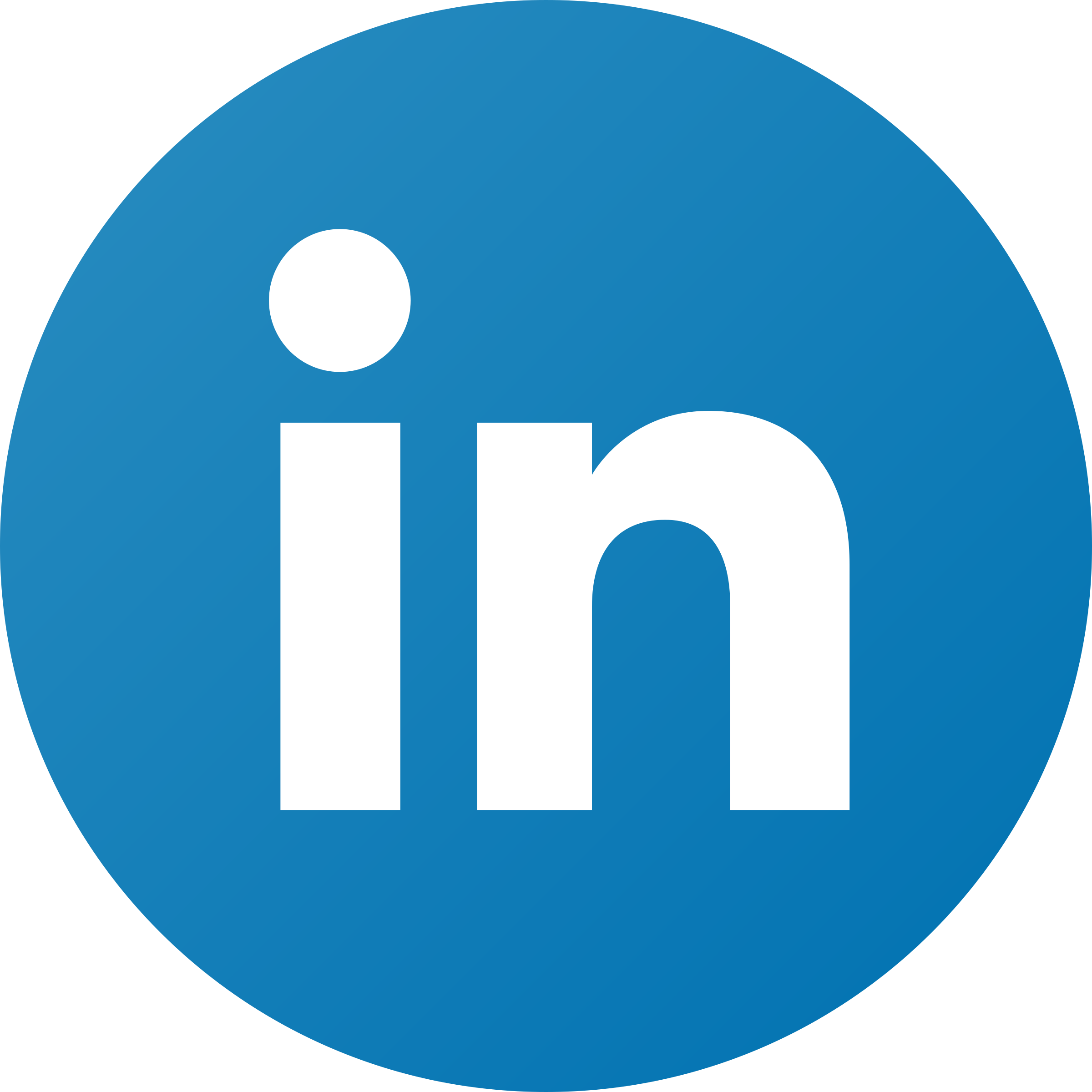 Lien Linkedin de Julia Badita