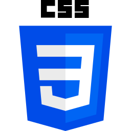 Photo du logo CSS